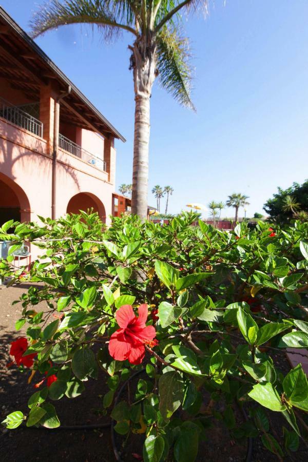 Residence Del Mare Casesicule ซานตามาเรีย เดล โฟกัลโล ภายนอก รูปภาพ